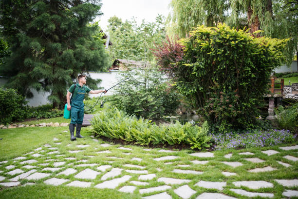 Best Wildlife Control Services  in Lebanon, NH